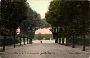 Vienna, Wien XIII. Allee im k.k. Schlossgarten Schönbrunn