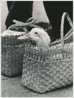 1971 Rolf Schubert: Piaci nap Győrben, feliratozott vintage fotóművészeti alkotás, 24x18 cm