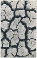 1967 Balogh Ferenc: Szárazság, pecséttel jelzett vintage fotóművészeti alkotás, 24x15 cm