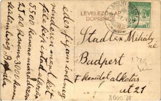 Az egyesült dunai osztrák-magyar flotilla monitorhajói Péterváradnál Újvidéken / Dunau-Flottille bei...