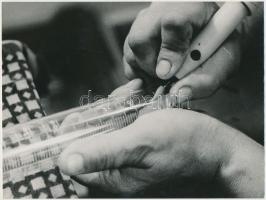 cca 1970 Csepreghi Éva: Írás köszörűvel, feliratozott vintage fotóművészeti alkotás, 18x24 cm