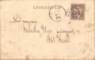 Verbász, Vrbas; Erzsébet liget, kiadja Seidl Nándor / park (fl)