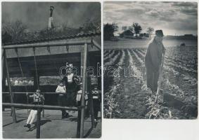 cca 1960 Tiszavölgyi József (1909-?) fotóriporter 13 db pecséttel jelzett vintage fotója, 14x11 cm és 18x24 cm között