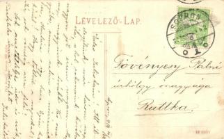 Sopron, Erzsébet utca, villamos, Piri Dániel kiadása