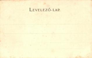 Igló, Spisská Nová Ves; Iskola utca, kiadja Csetényi Emil / School Street