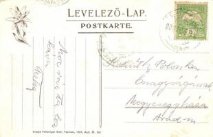 Fenyőháza, Villa Köri nyaraló, kiadja Feitzinger Ede 1905. N. 881