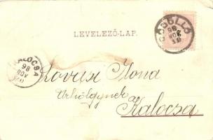 1898 Gödöllő, Vasútállomás, Máriabesnyő; floral (EK)