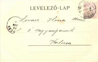 1899 Szeged, Tűzoltólaktanya; Schulhof Károly tulajdona