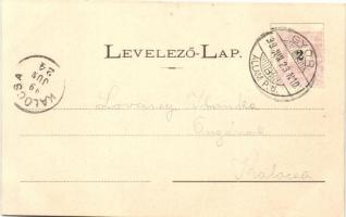 1899 Győr, Látkép, Kisfaludy-szobor; Röszler Károly kiadása