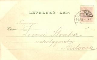 1899 Kalocsa, floral Schwidernoch litho