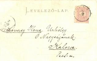 1899 Torna, Turna nad Bodvou; kiadja Steinberger Ignácz / castle, floral (EK)