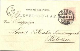 1898 Pécs, Fünfkirchen, floral