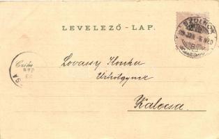 1899 Szolnok, floral litho, kiadja Fuchs Lipót