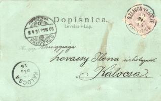 1899 Verőce, Virovitica; Schaumburg-Lippa kastély, vasútállomás / castle, railway station, floral