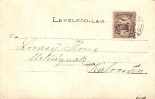 1901 Kistapolcsány, Topolcianky; villa, photo (fa)