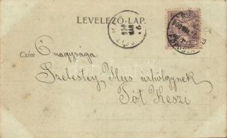 Verbász, Vrbas; Ferenc csatornai kikötő, kiadja Seidl Nándor / port, floral