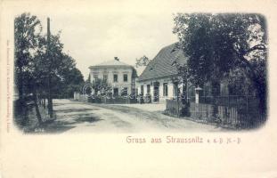 Straussnitz