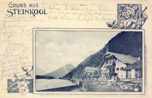 1899 Steinkogl
