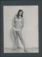 cca 1968 Manöken és fotómodell nyilvántartás, feliratozott vintage fotó, albumlapra felragasztva, 23x17,5 cm