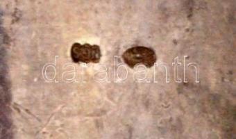 Ezüst (Ag.) gyűrű gyöngyház berakású kövekkel, jelzett, bruttó: 12.8 g