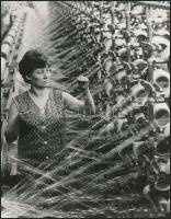 1979 Budapest, Kender-, Juta- és Politextilgyár, vintage fotó, 27,5x17,5 cm