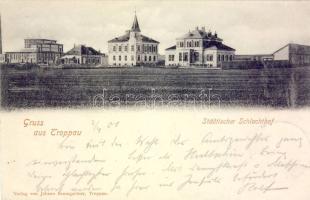 Troppau Slaughterhouse