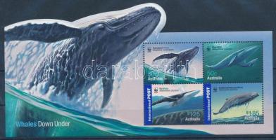 WWF: Bálnák blokk, WWF: Whales block