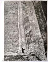 cca 1975 Hazafelé egy kis rőzsével, jelzés nélküli vintage fotóművészeti alkotás, 40x28 cm