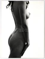 cca 1974 Tatár Tibor: Torzó, pecséttel jelzett, vintage fotóművészeti alkotás, 39x29 cm