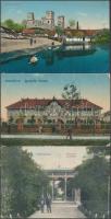 8 db RÉGI magyar és erdélyi városképes lap, vegyes minőségben / 8 pre-1945 Hungarian and Transylvanian town-view postcards, mixed quality