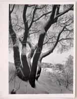 cca 1938 Dr. Sevcsik Jenő (1899-1996): Téli táj, aláírt vintage fotóművészeti alkotás a szerző hagyatékából, 30x24 cm