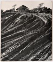 cca 1965 Pál Dezső: Sand Welt, feliratozott vintage fotóművészeti alkotás, kasírozva, 39x29 cm
