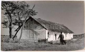 cca 1960 Medgyesi László: A juhász tanyája (Kecskemét határában), feliratozott vintage fotóművészeti alkotás, 30x40 cm