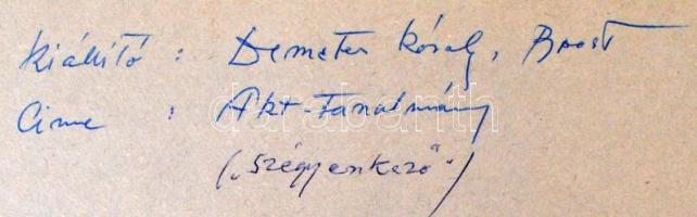 cca 1950 Demeter Károly (1892-1983): Szégyenkező (akt tanulmány, aláírt vintage fotóművészeti alkotá...