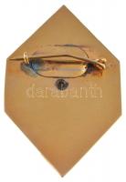 ~1980. "Kiváló Tűzoltó" aranyozott, zománcozott fém jelvény (30x45mm) T:1-