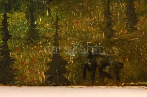 MCP jelzéssel: Fólyó. Olaj, vászon, sérült, 32×42 cm