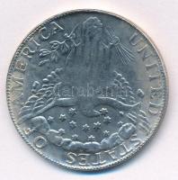 Amerikai Egyesült Államok 1799. 1$ "Liberty" modern Fe hamisítvány érme T:2-
USA 1799. 1 ...