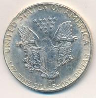 Amerikai Egyesült Államok 1816. 1$ "Liberty" modern Fe replika érme T:2- k.
USA 1816. 1 D...