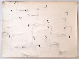 cca 1975 Hattyúk tava, jelzés nélküli vintage fotóművészeti alkotás, 30x40 cm