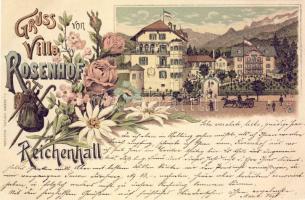 1897 Bad Reichenhall Villa Rosenhof Litho