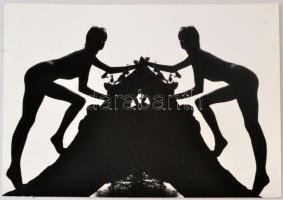 cca 1982 Menesdorfer Lajos: Fekete fehéren, pecséttel jelzett vintage fotóművészeti alkotás, 30x40 cm