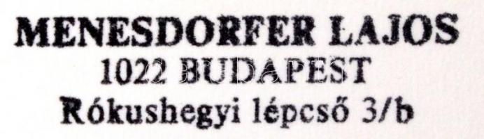 cca 1982 Menesdorfer Lajos: Fekete fehéren, pecséttel jelzett vintage fotóművészeti alkotás, 30x40 c...