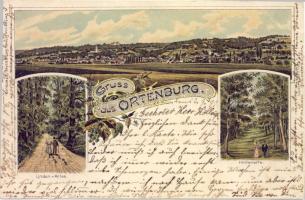 1899 Ortenburg Litho (EK)