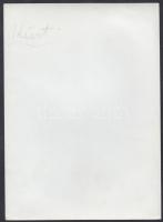 Střekov vára (Csehország), fotó, hátulján feliratozva, 18×13 cm