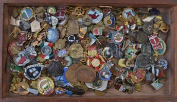 Egy doboznyi vegyes, nagyrészt szocialista jelvény és kitűző közte 1942. "Gyáripari Nemzeti Sportnap" Br kítűző (20,5x29,5mm), 1963. "Elek - Általános Gimnázium" zománcozott fém jelvény (31x38,5mm), DN "Kőbányai Gyógyszerárugyár - Hűséges Munkáért" zománcozott fém jelvény (23mm), DN "Nógrádi Szénbányák - 1861" zománcozott fém kitűző (17mm) T:vegyes