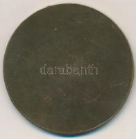 1937. "III. Kerület Torna és Vívó Egylet 1887-1937" Br emlékérem. Szign.: Szilas (50mm) T:...