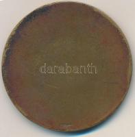 Dabóczi Mihály (1905-1980) 1935. "Lovag Santelli Italo" Br emlékérem, hátoldalán "LUD...