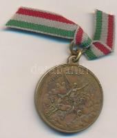 1898. "Szabadságharczunk dicső emlékére / Istenért, királyért, hazáért" Cu emlékérem (29,5...