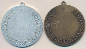 Ausztria DN "Stájer Nemzeti Bajnok / Nemzeti Sportszervezet" (2x) zománcozott, ezüstözött ...