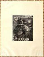 Dutka Ákos: Ismerlek Caesar. Nagyvárad, 1917, Szigligeti Társaság. Illusztrált kiadói karton kötés a...